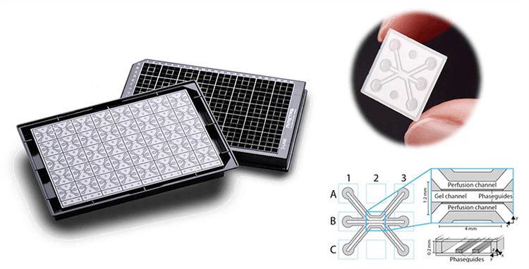 Die Organ-on-a-Chip-Technologie von Mimeta, OrganoPlate