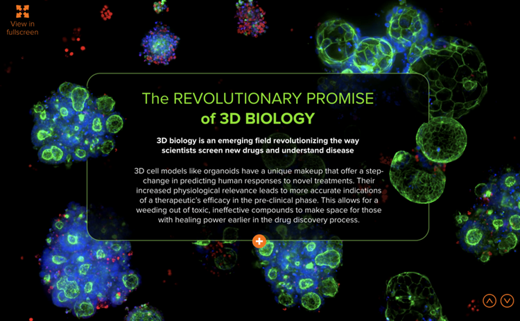 Das revolutionäre Versprechen der 3D-Biologie