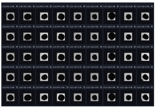 Cultured Neural Organoids of Calcium Oscillations of iPSC-derived
