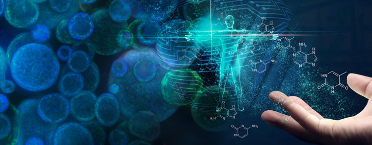 Wie 3D-Zellmodelle die Zukunft der Wirkstoffforschung prägen werden