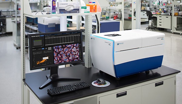 HCS in cell-based assays