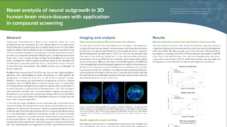 Neuartige Analyse des neuronalen Auswuchses in 3D-Mikrogeweben des menschlichen Gehirns und deren Anwendung im Verbindungsscreening