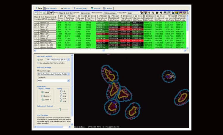 High-Content Data-Mining