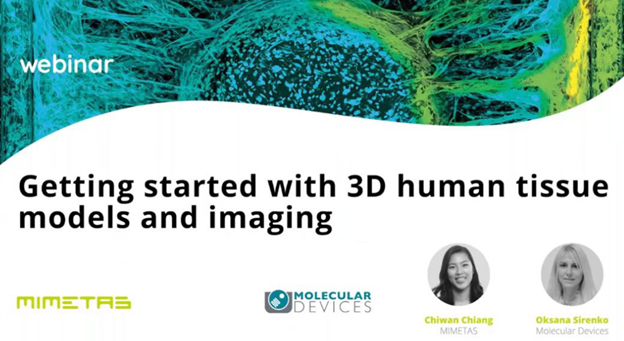 3D-Modelle und Imaging humaner Gewebe
