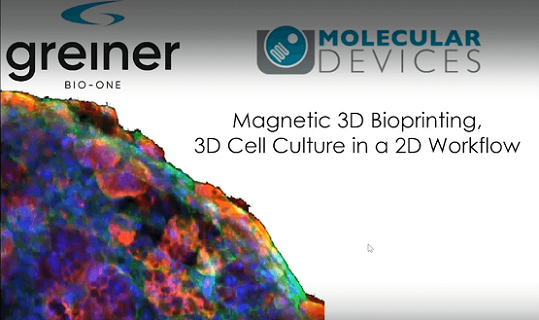 Bioprint-Gewebe in 3D 