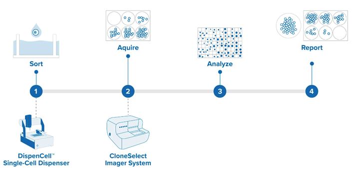 image-based verification of monoclonality