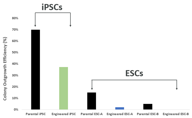 Kolonieauswuchs-Effizienzen aus Einzelzellen zwischen IPSCs und ESCs