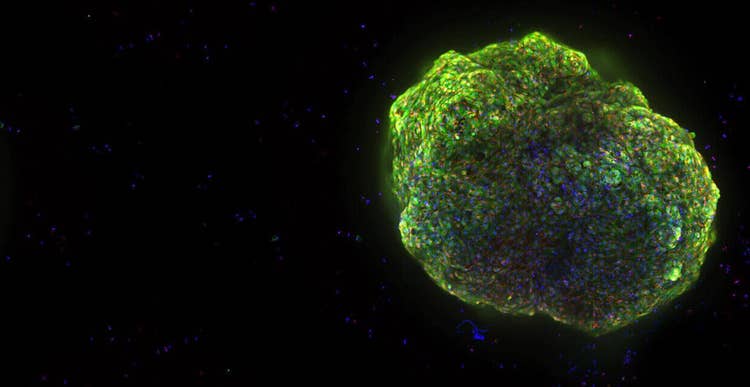 Automatisierte 3D-Imaging-Arbeitszelle