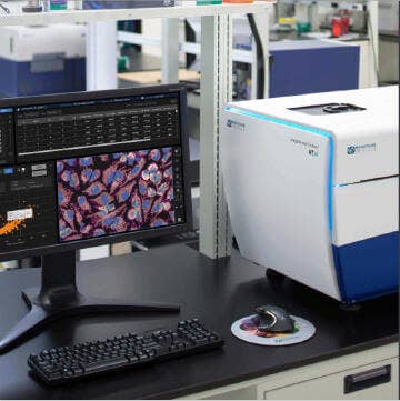 Zelluläres Imaging-System