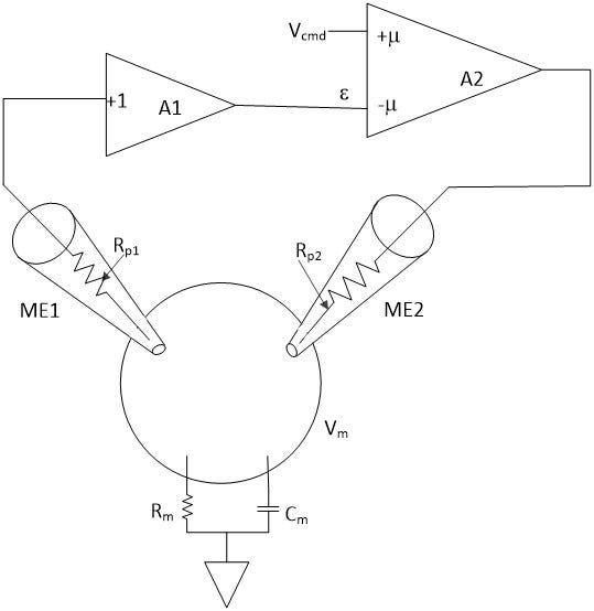 Schaltkreis-Diagramm für eine TEVC (Two Electrode Voltage-Clamp)-Methode