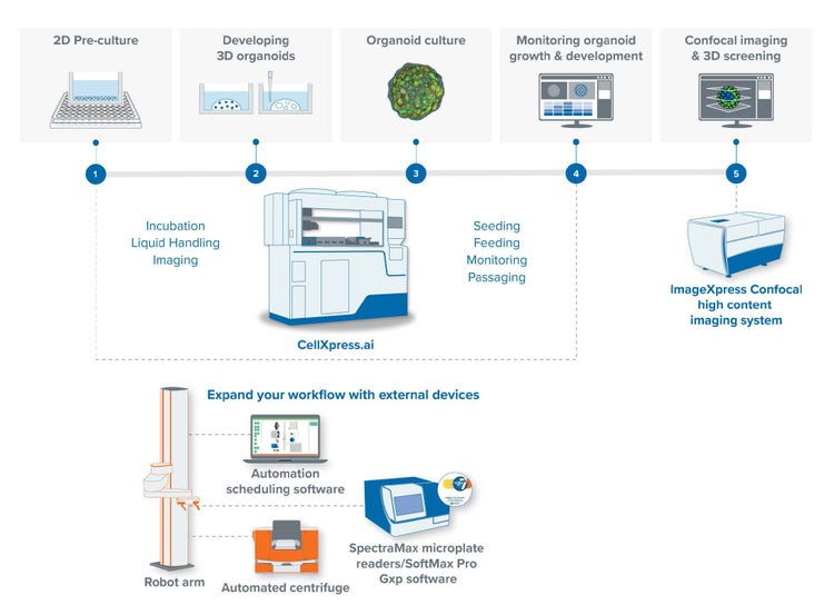 CellXpress cell culture system workflows in both 2D and 3D