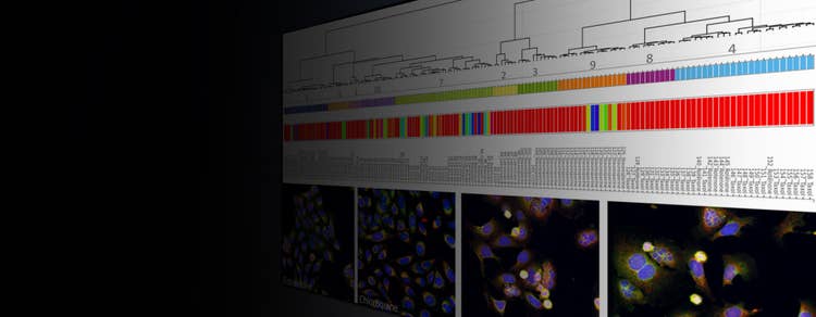 StratoMineR – Fortschrittliche Cloud-basierte Analytik