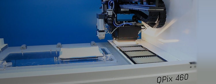 QPix Microbial Colony Picker