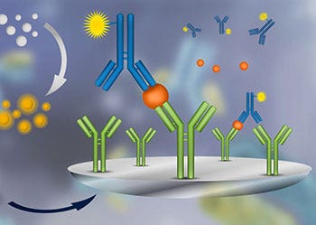 Enzyme-Linked Immunosorbent Assay (ELISA)