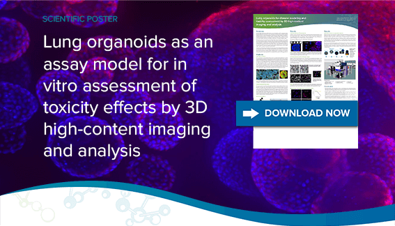 Lungenorganoide als ein Assay-Modell zur In-vitro-Beurteilung der Toxizitätseffekte mittels 3D-High-Content-Imaging und Analyse.