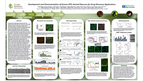 Entwicklung und Beschreibung humaner, aus iPSC gewonnener Neuronen für Anwendungen in der Wirkstoffforschung