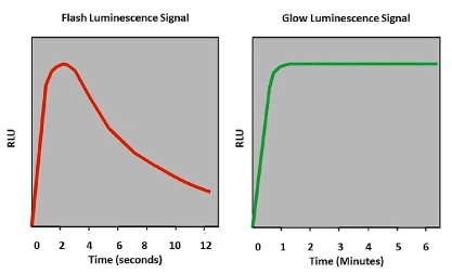 Lumineszenz – Flash- oder Glow-Reaktion