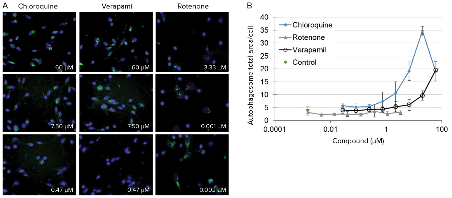  effects of exposure to experimental compounds on human neurons