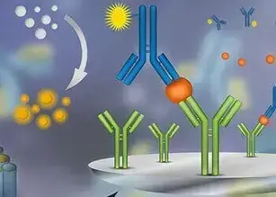 Enzyme-Linked Immunosorbent Assay (ELISA)