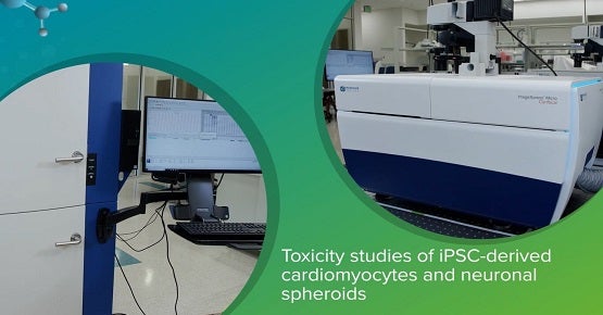 Toxicity studies of iPSC-derived cardiomyocytes and neuronal spheroids